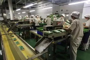 食品機(jī)械科技 驅(qū)動食品企業(yè)邁向新時代的強(qiáng)大引擎