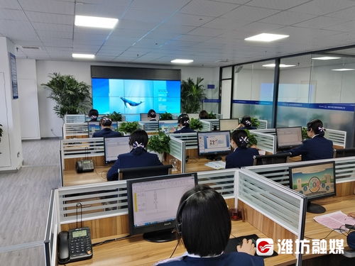 濰坊市民注意！月底將至，這項重要費用請及時繳納